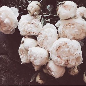 Meet your Posher, Dara